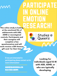 Online Emotion Research