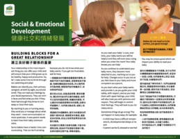 Social Emotional Development